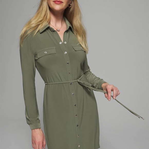 WHBM $90
 Snap Front Shirtdress - Picture 4 of 6